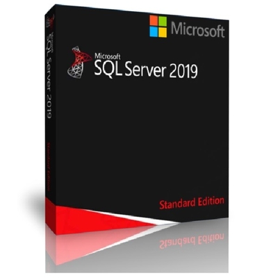 Microsoft SQL Server 2019 Standart Perakende Kutusu