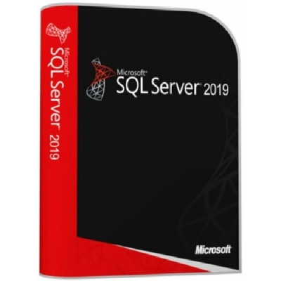 Microsoft SQL Server 2019 Kurumsal Perakende Kutusu