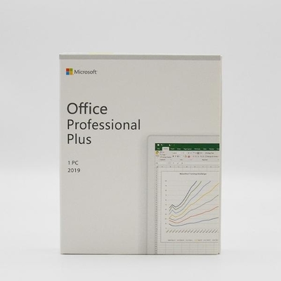 Yüksek Hızlı Sürüm Microsoft Office 2019 Professional Plus DVD Perakende Kutusu